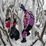 phoca_thumb_m_ledov krlovstv 2 2 Fotogalerie